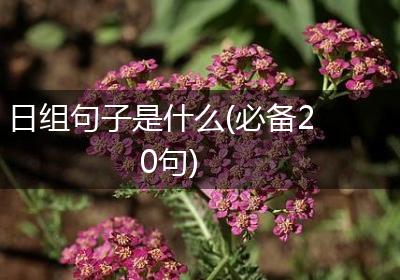 日组句子是什么(必备20句)