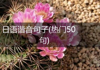 日语谐音句子(热门50句)