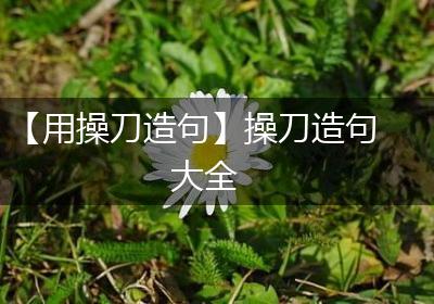 【用操刀造句】操刀造句大全