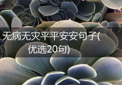 无病无灾平平安安句子(优选20句)