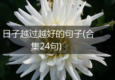 日子越过越好的句子(合集24句)