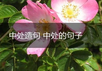 中处造句 中处的句子