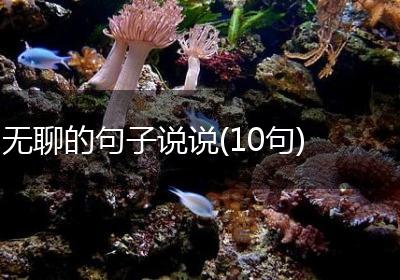 无聊的句子说说(10句)