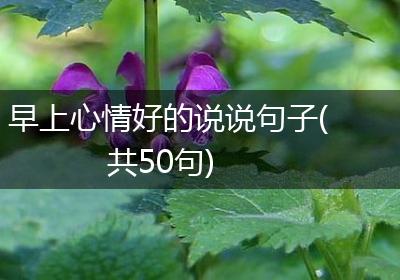 早上心情好的说说句子(共50句)