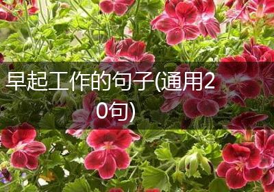 早起工作的句子(通用20句)