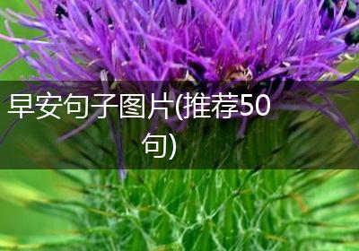 早安句子图片(推荐50句)