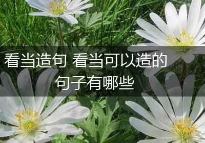 看当造句 看当可以造的句子有哪些