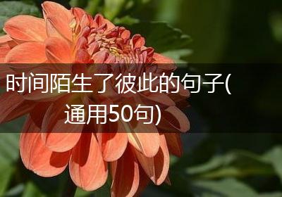 时间陌生了彼此的句子(通用50句)