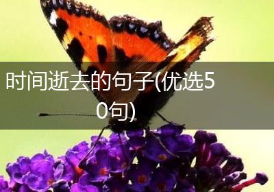 时间逝去的句子(优选50句)