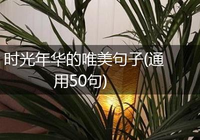 时光年华的唯美句子(通用50句)