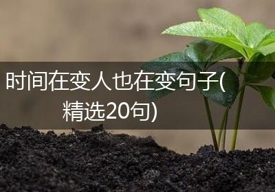 时间在变人也在变句子(精选20句)