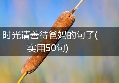 时光请善待爸妈的句子(实用50句)