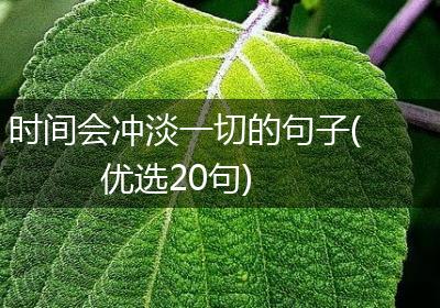 时间会冲淡一切的句子(优选20句)