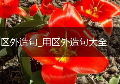 区外造句_用区外造句大全