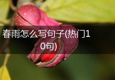 春雨怎么写句子(热门10句)