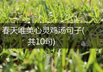 春天唯美心灵鸡汤句子(共10句)