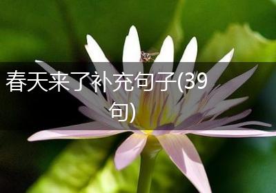 春天来了补充句子(39句)