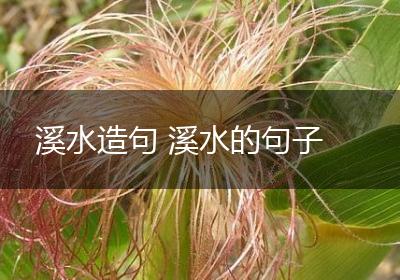 溪水造句 溪水的句子