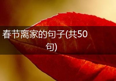 春节离家的句子(共50句)