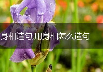 身相造句,用身相怎么造句
