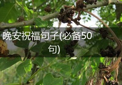 晚安祝福句子(必备50句)