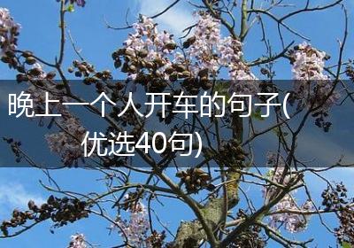 晚上一个人开车的句子(优选40句)