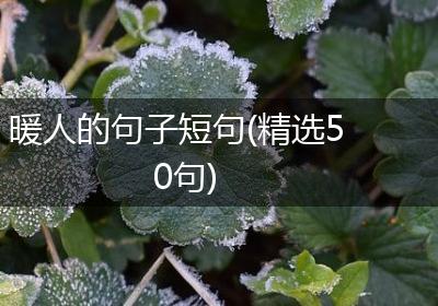 暖人的句子短句(精选50句)