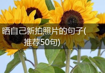 晒自己新拍照片的句子(推荐50句)
