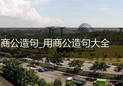 商公造句_用商公造句大全