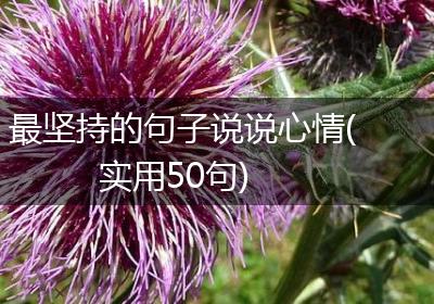 最坚持的句子说说心情(实用50句)