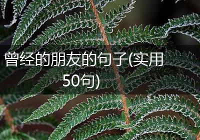 曾经的朋友的句子(实用50句)