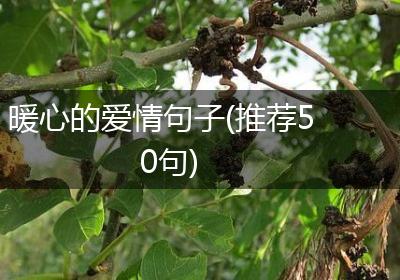 暖心的爱情句子(推荐50句)