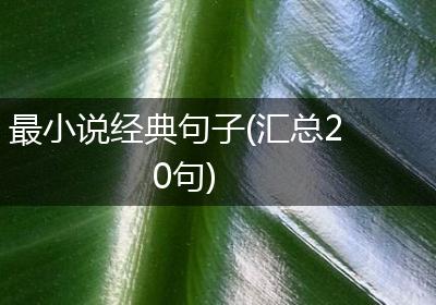 最小说经典句子(汇总20句)