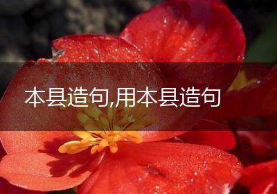 本县造句,用本县造句