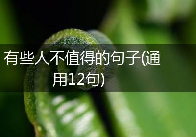 有些人不值得的句子(通用12句)