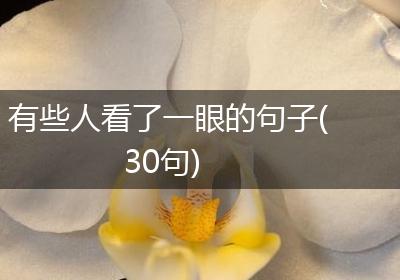 有些人看了一眼的句子(30句)