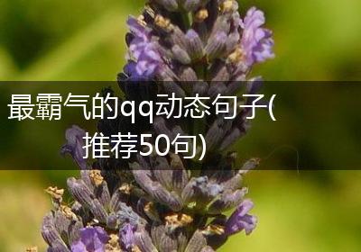 最霸气的qq动态句子(推荐50句)