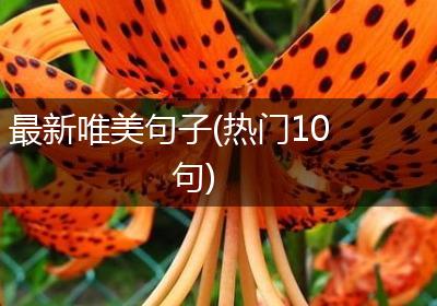 最新唯美句子(热门10句)