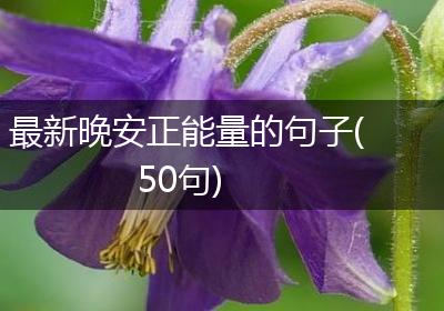 最新晚安正能量的句子(50句)