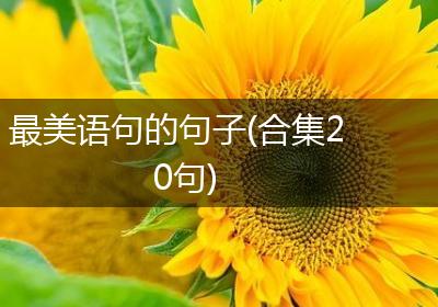 最美语句的句子(合集20句)