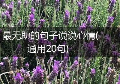 最无助的句子说说心情(通用20句)