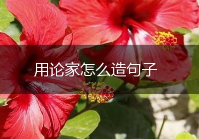 用论家怎么造句子