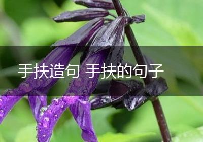 手扶造句 手扶的句子