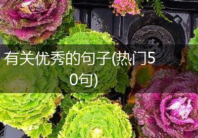 有关优秀的句子(热门50句)