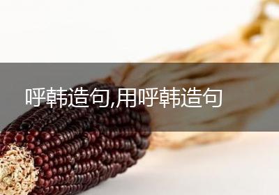 呼韩造句,用呼韩造句