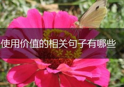 使用价值的相关句子有哪些