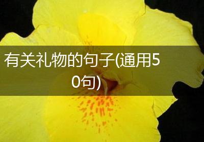 有关礼物的句子(通用50句)