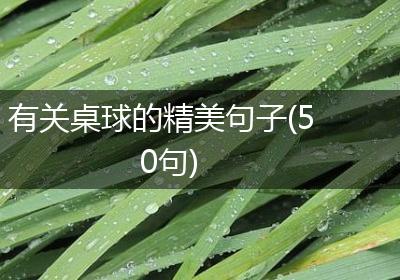 有关桌球的精美句子(50句)
