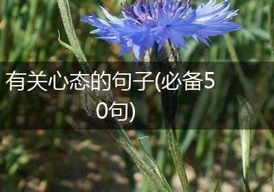 有关心态的句子(必备50句)