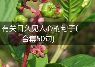 有关日久见人心的句子(合集50句)